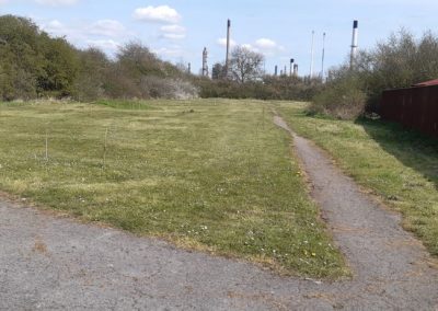 Jubileee Tree Planting