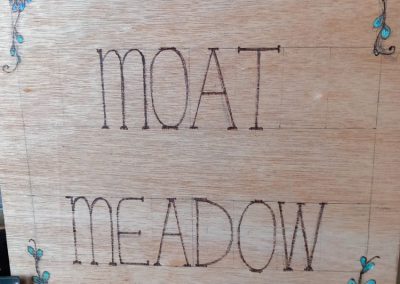 Moat Meadow Sign